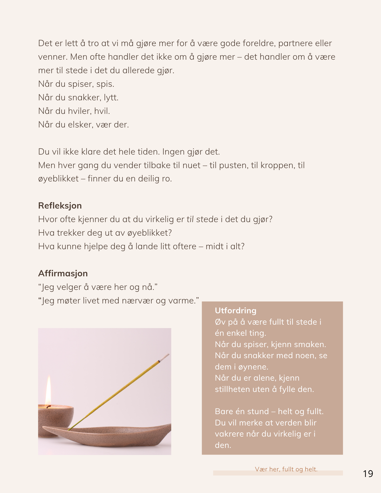 E-bok - Når livet koker