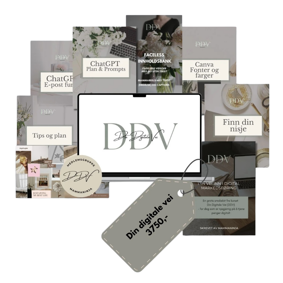 Din digitale vei – Norsk lavterskelkurs i digital markedsføring og netthandel