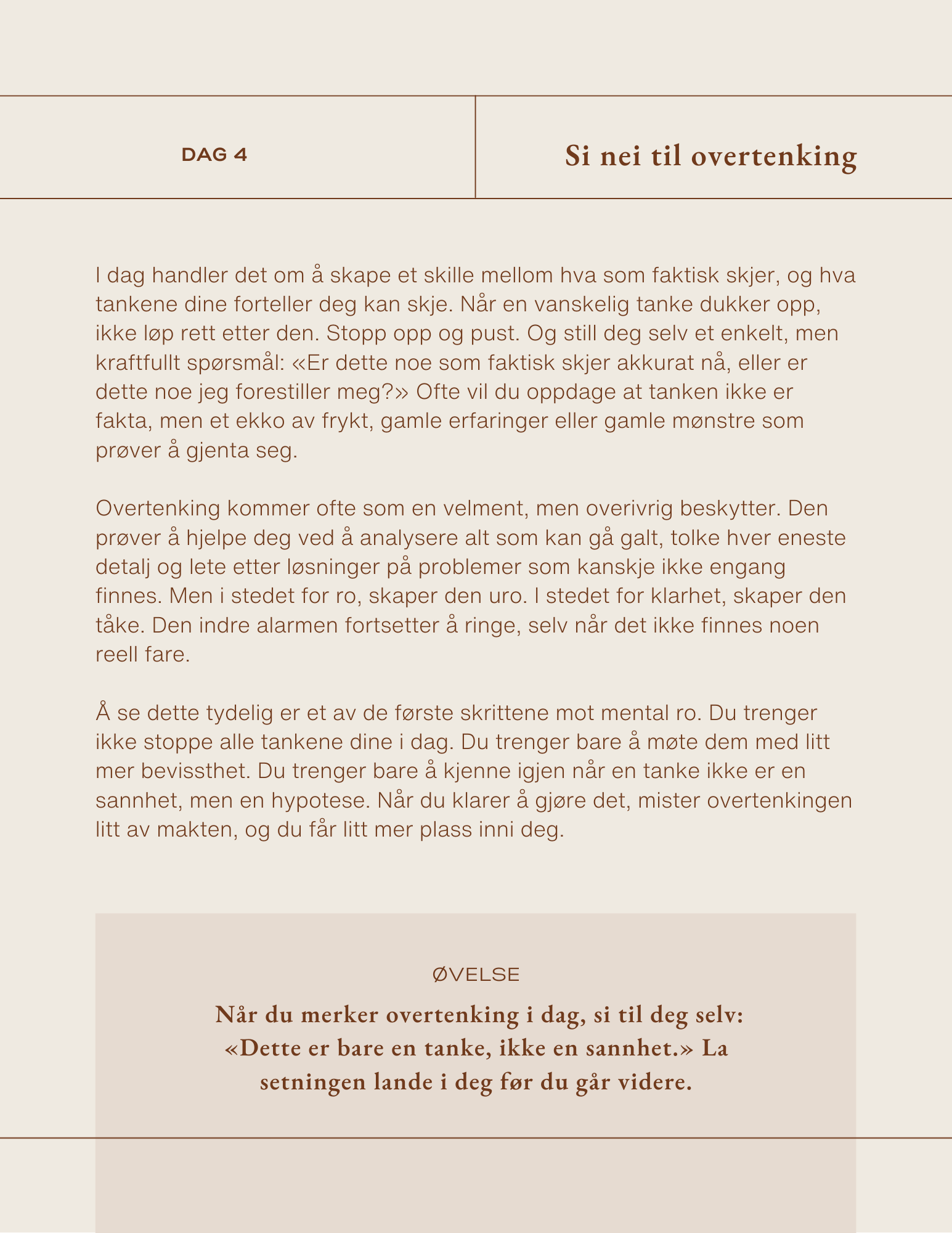 E-bok - Dagbok for roligere dager