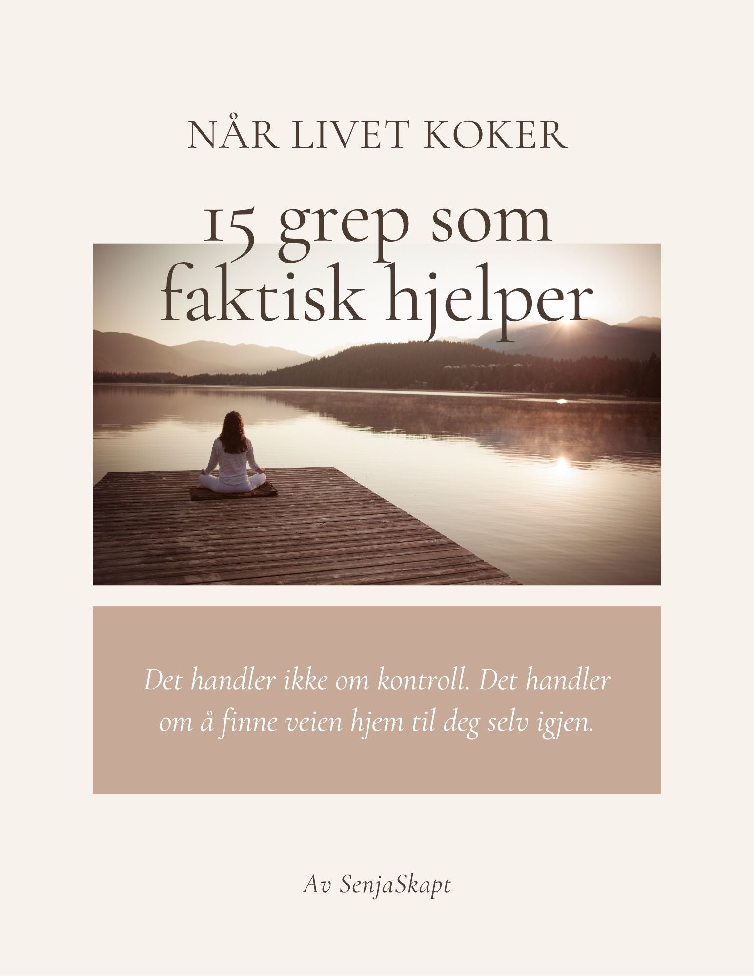 E-bok - Når livet koker