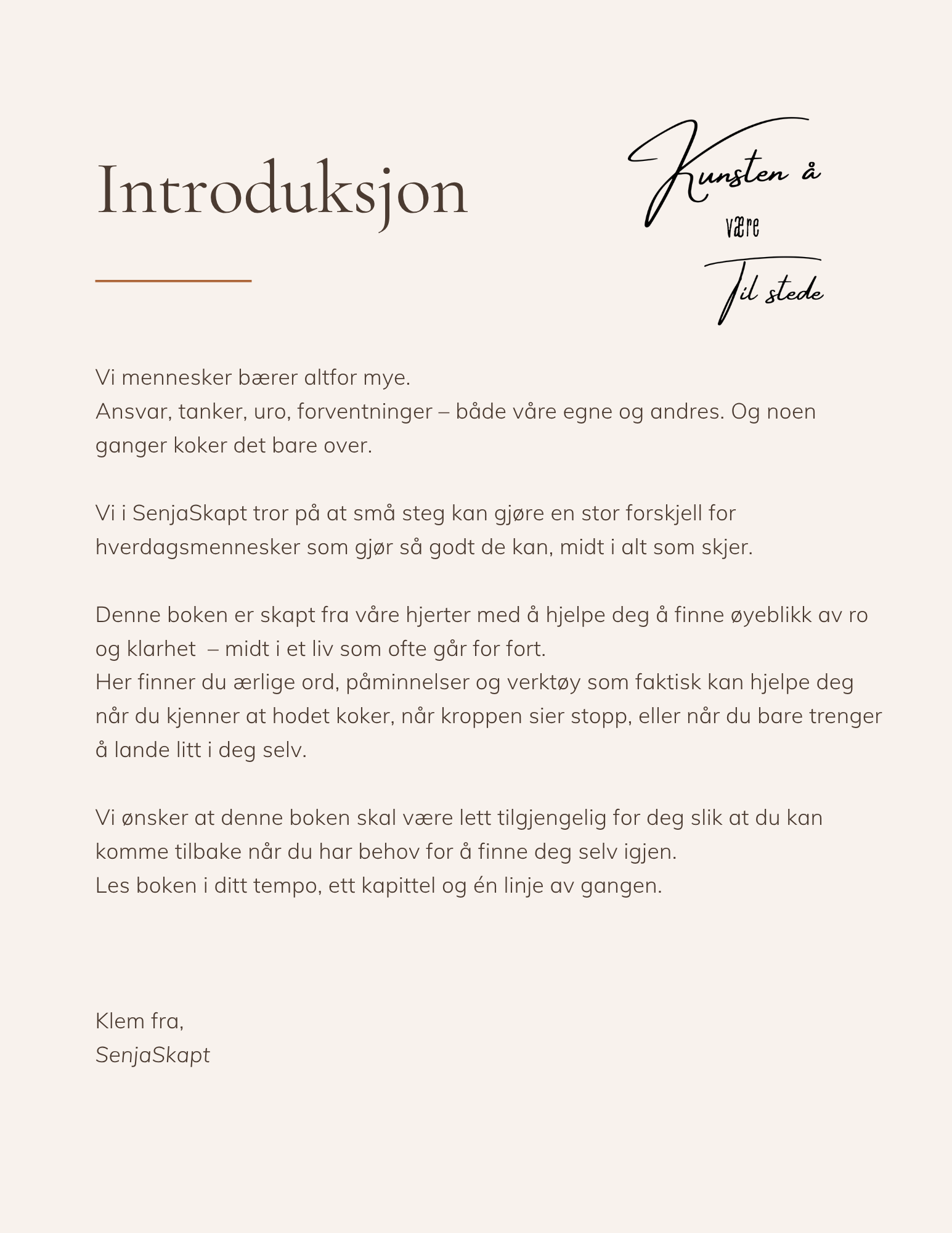 E-bok - Når livet koker