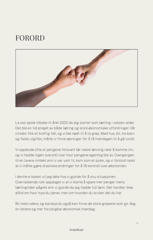 E-bok om Personlig Økonomi