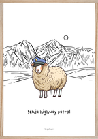 Senja highway patrol