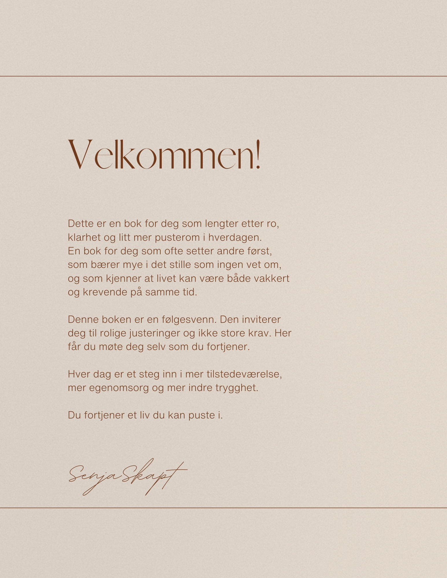 E-bok - Dagbok for roligere dager